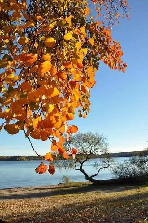 Sweden Wallpaper Travel 24 تصوير الشاشة