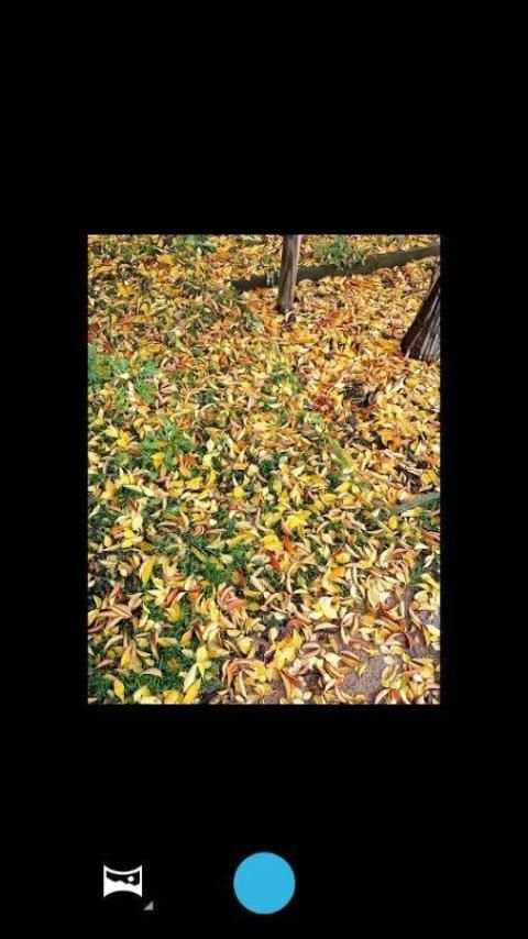 Nexus Camera: KitKat Camera screenshot 5