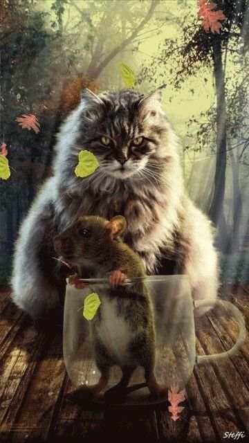 Cat And Mouse Live Wallpaper скриншот 1