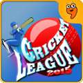 Cricket League 2015