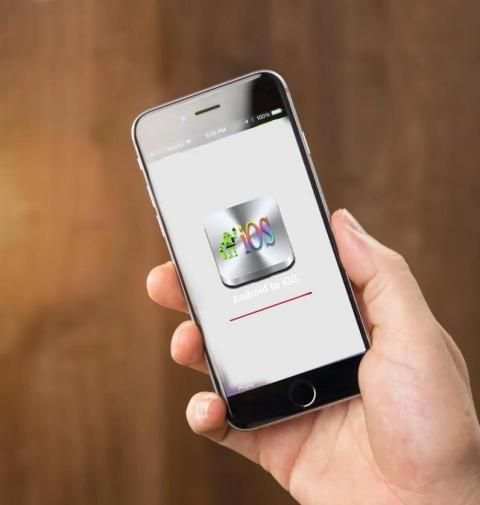 Go to iOS скриншот 4