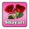 Hindi Love Shayari SMS