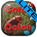 CatchCatch (Lite version) icon
