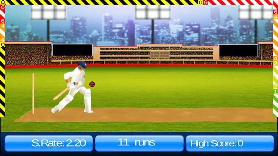 Cricket World Cup Game IndoPak скриншот 3