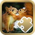 Fancy Jigsaw Squirrel icon