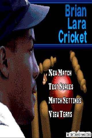 Cricket 20-20 Lite screenshot 1