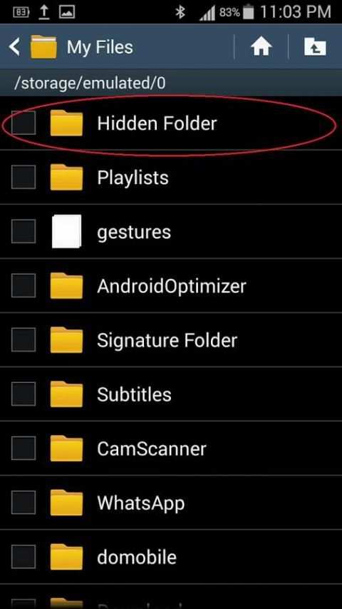 Hidden Camera Free 2016 скриншот 2