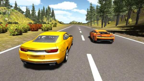 Rally Racer 3D 1 تصوير الشاشة
