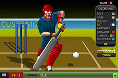 Cricket Fever1.0 screenshot 2