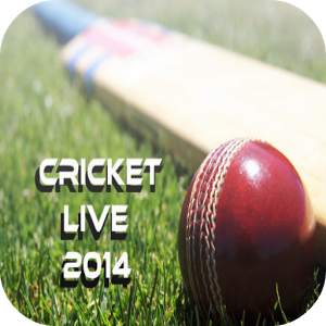 Cricket 2014 1