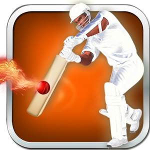 Play Cricket 1