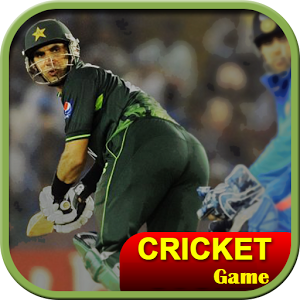 Cricket World Cup Game IndoPak icon