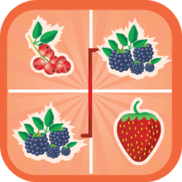 Game Bicachu Fruit Connect أيقونة
