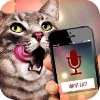 Best Cat Translator Pro