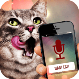 Best Cat Translator Pro आइकन