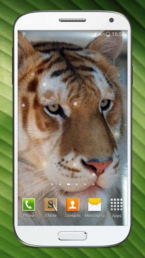 Bengal Tiger Live Wallpaper screenshot 1