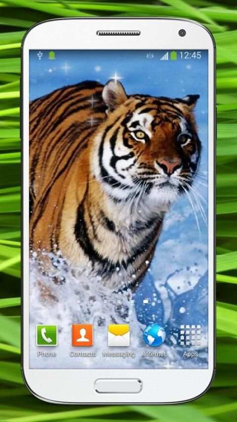 Bengal Tiger Live Wallpaper screenshot 3