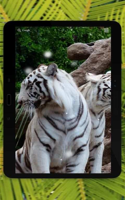 Bengal Tiger Live Wallpaper screenshot 2