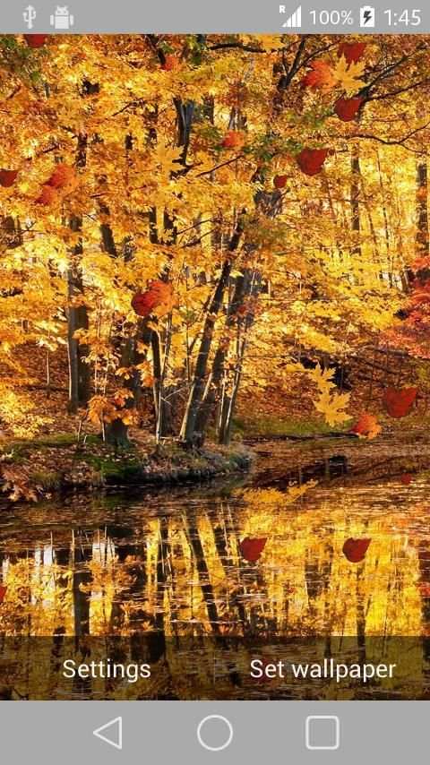 Nature Wallpaper Live स्क्रीनशॉट 8
