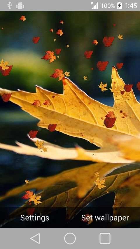 Nature Wallpaper Live स्क्रीनशॉट 9