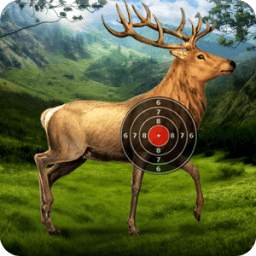 Deer Target Shooting