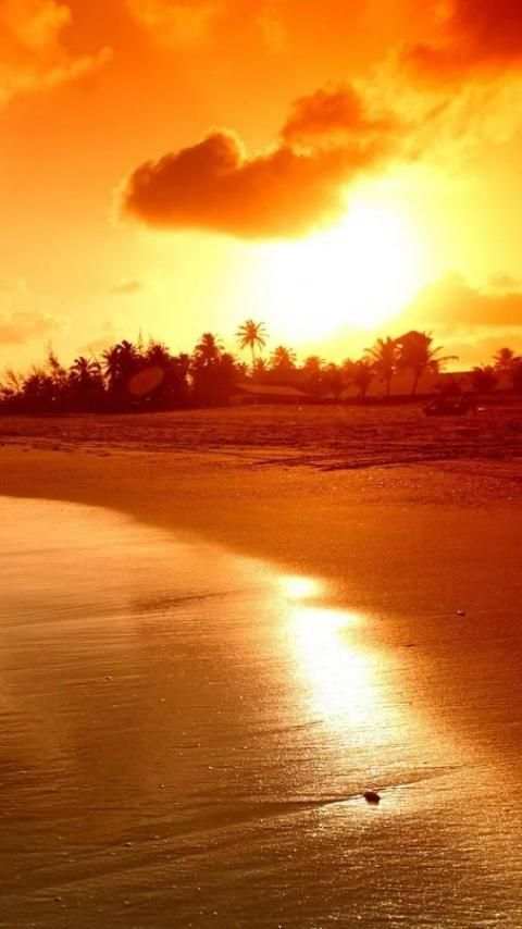 Sunrise Wallpapers screenshot 14