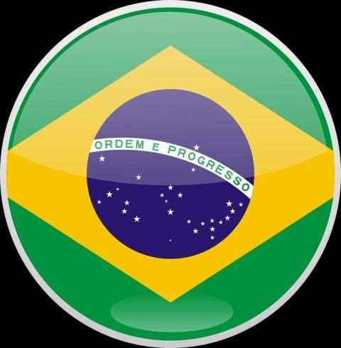 Flags Face Brésil Insta-App screenshot 2