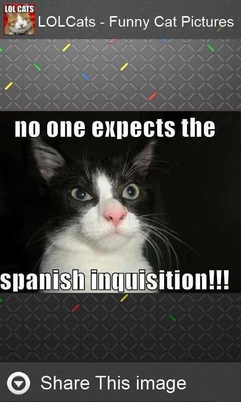 LOLCats - Funny cats pictures screenshot 4