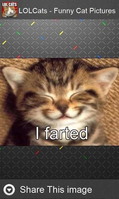 LOLCats - Funny cats pictures screenshot 5