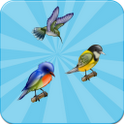 Small Birds Memory Game أيقونة