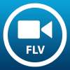 FLV Video Player/Browser