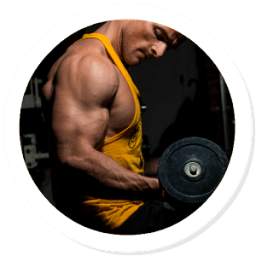 Gym Workout 1.0