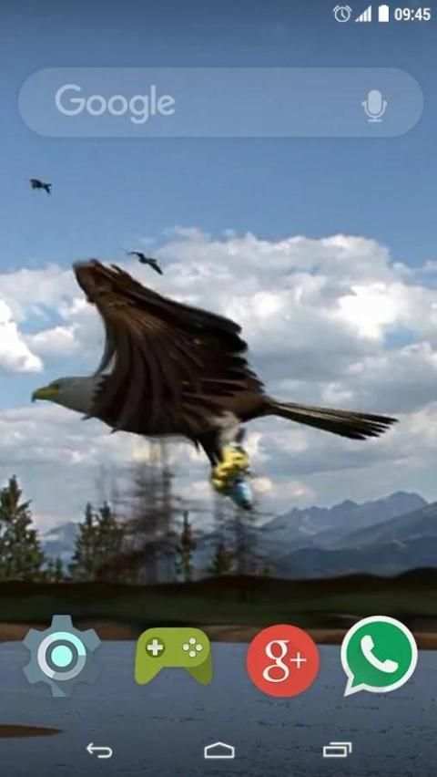 Flying Eagle Live Wallpaper screenshot 1