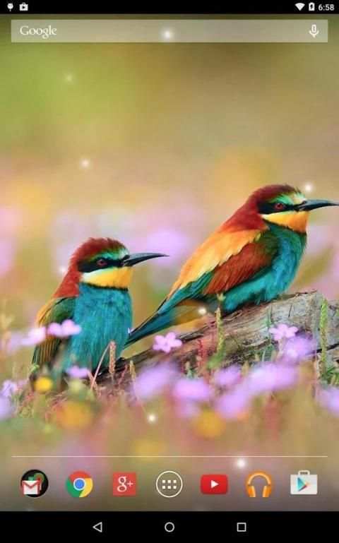 Spring Birds Live Wallpaper 15 تصوير الشاشة