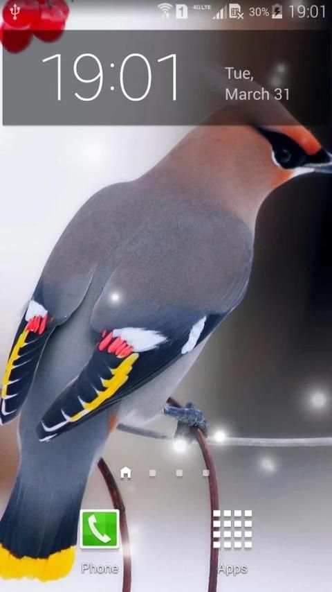 Spring Birds Live Wallpaper 1 تصوير الشاشة