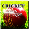 ikon Cricket World Cup Game