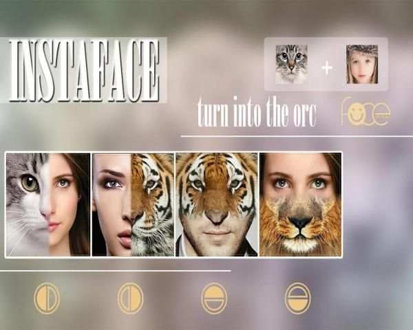 InstaFace : face morphing screenshot 13