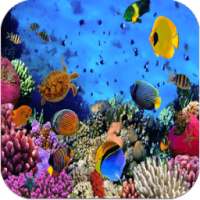 Photo Frames Aquarium on 9Apps