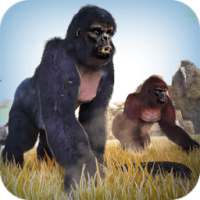 Game Monyet Balap untuk Anak