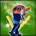 Cricket Fever 2014