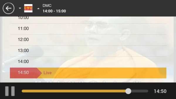 DMC screenshot 2