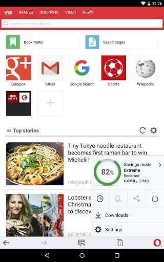 Browser Flesh Player скриншот 1