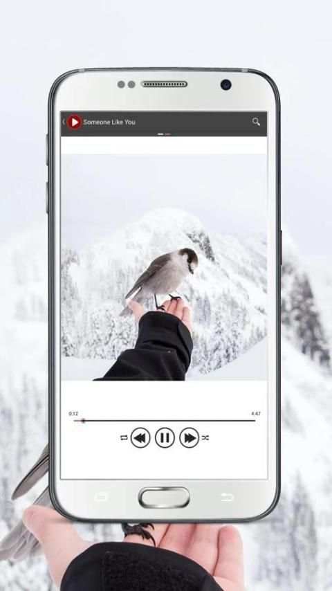Music Player Pro скриншот 3