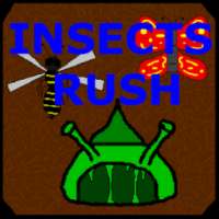 Insects Rush