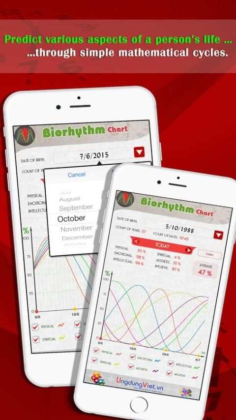 Biorhythm Chart скриншот 1