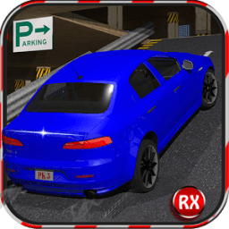 Shopping Mall Car Parking icon