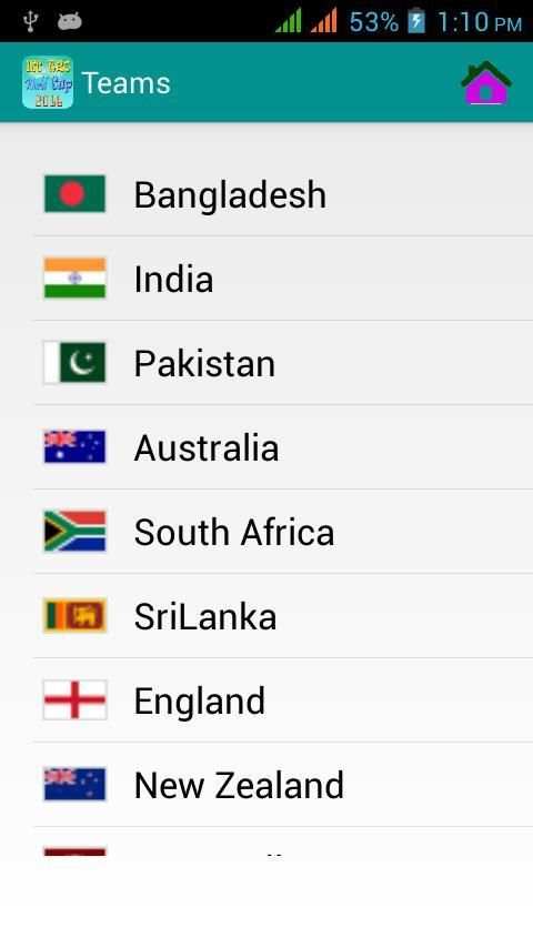 Cricket World Cup T20 16 स्क्रीनशॉट 6