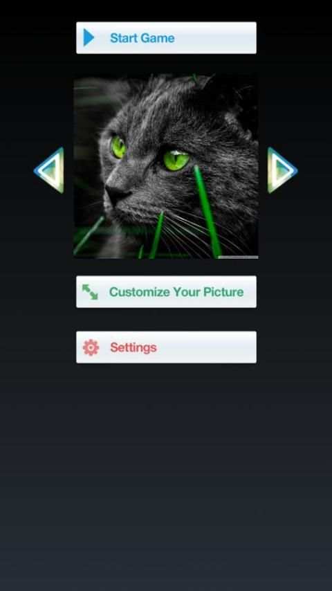2362 Puzz screenshot 3