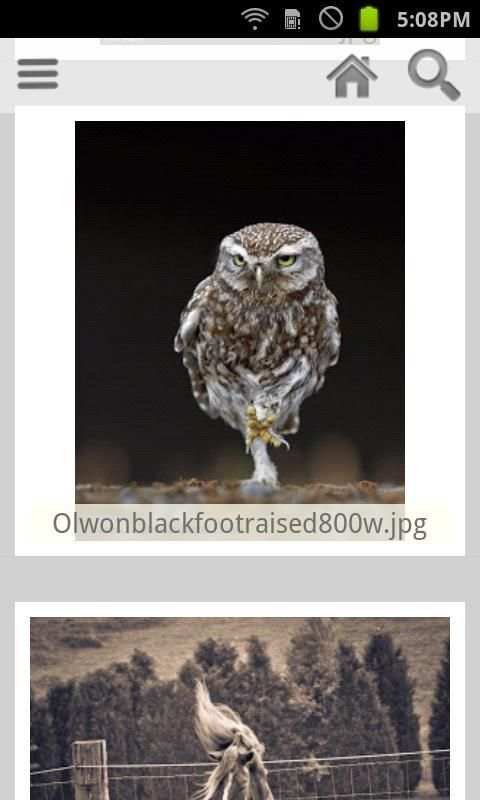 Kuc.Picasa (photo viewer) screenshot 2