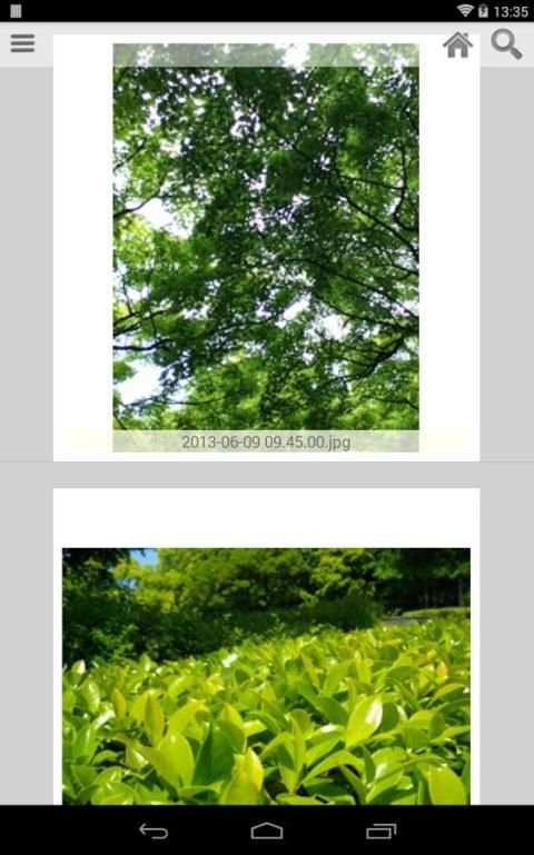 Kuc.Picasa (photo viewer) screenshot 4